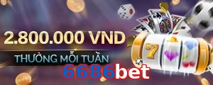 6686bet
