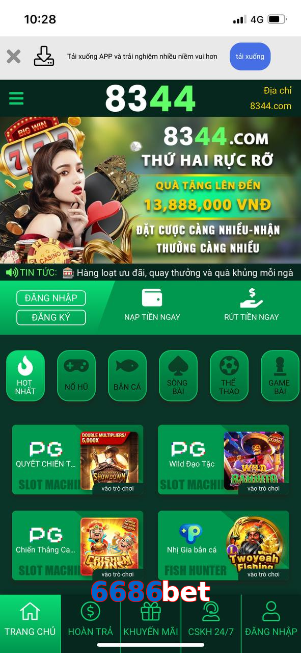 6686bet